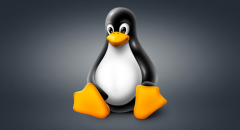 Fortnite for Linux