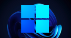 Fortnite for Windows 11